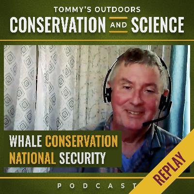 Why Military Bases Might Determine the Future of Whales Why Military Bases Might Determine the Future of Whales