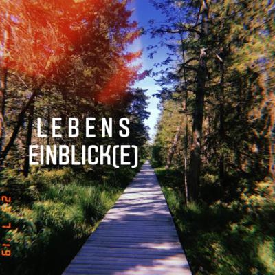 Lebenseinblick(e), Update und Ansprüche an mich selbst Lebenseinblick(e), Update und Ansprüche an mich selbst