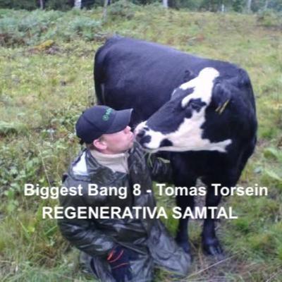 Biggest Bang 8 - Tomas Torsein