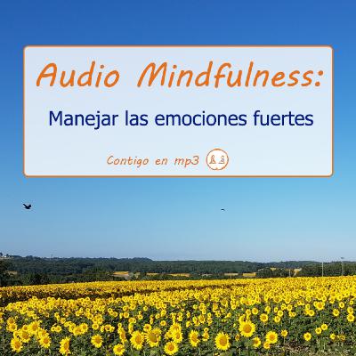 Mindfulness: Manejar las Emociones Fuertes