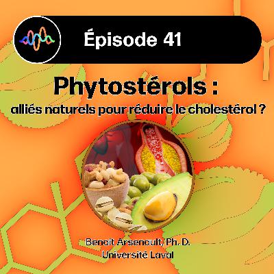 #41 - Effets des phytostérols sur le cholestérol LDL et le risque de maladies cardiovasculaires