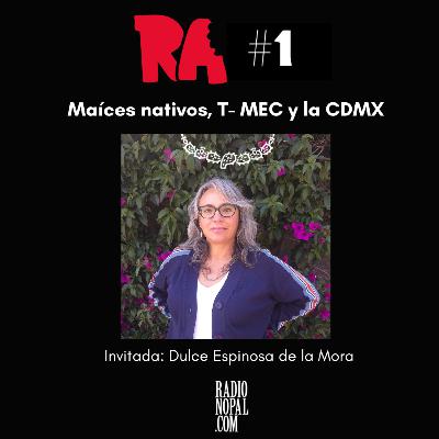 Maíces nativos, T- MEC y la CDMX