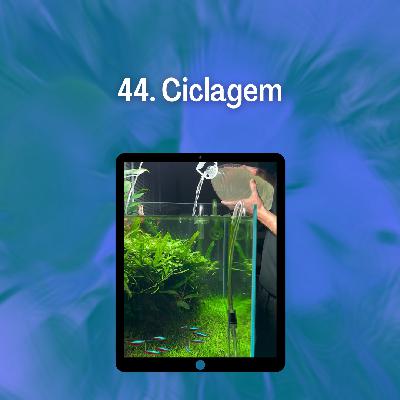 44. Ciclagem 44. Ciclagem