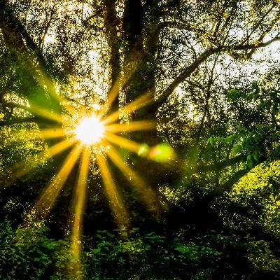 Música par Relaxar Traz Bem estar, Serenidade, Saude, Paz e Luz Música para dormir profundamente