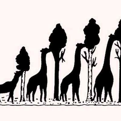 Lamarck e a evolução