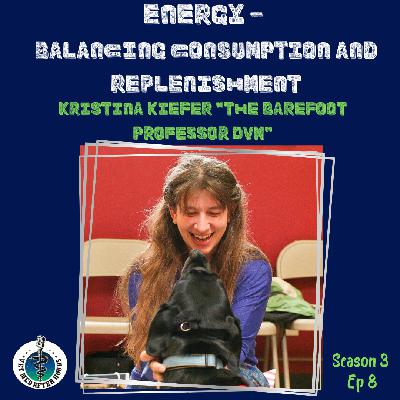 Energy- Balancing Consumption and Replenishment