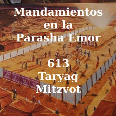 Lectura de Mandamientos Parasha Emor