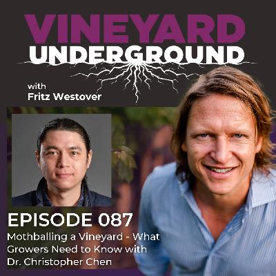 087: Mothballing a Vineyard - What Growers Need to Know with Dr. Christopher Chen 087: Mothballing a Vineyard - What Growers Need to Know with Dr. Christopher Chen