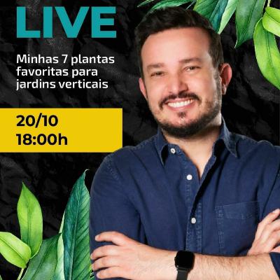 Minhas 7 plantas favoritas para jardim vertical Minhas 7 plantas favoritas para jardim vertical