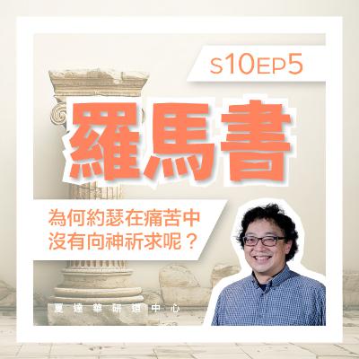 羅馬書 10 EP5 為何約瑟在痛苦中沒有向神祈求呢? Romans 8:18-30