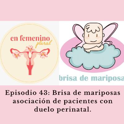 Episodio 43:Brisa de mariposas, asociación de pacientes con duelo perinatal.
