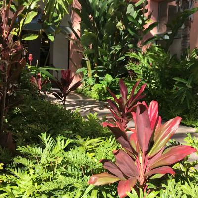 散歩中⭐︎直感を磨くためのヒント✨10分朝ワーク♪ 散歩中⭐︎直感を磨くためのヒント✨10分朝ワーク♪