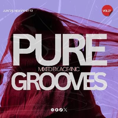 Pure Grooves Vol.27 Mixed By. ACE4NIC [Jun'25 Heavyhittz]