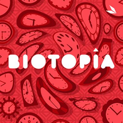 T02E03 - El partido