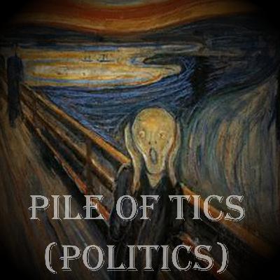 Pile of Tic (politics)