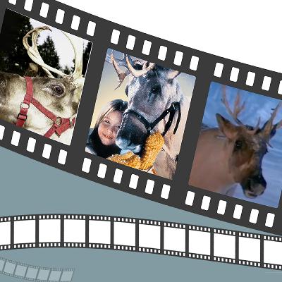 Prancer - Holiday Magic Or Small‑Town Madness?