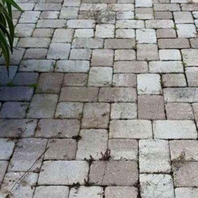 How to Prevent Weeds and Algae Growth in Paver Joints