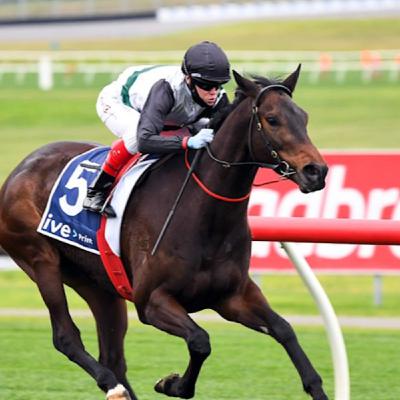 Episode 104 - C.F Orr Stakes Day
