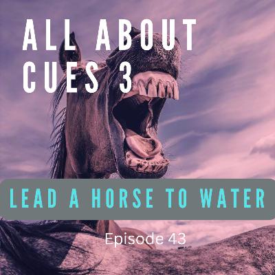 All About Cues (part 3)