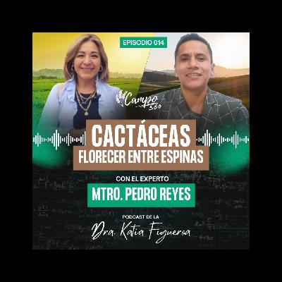 #014. Cactáceas: belleza y resistencia