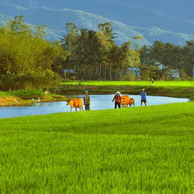 Giữ lại mảnh trời quê