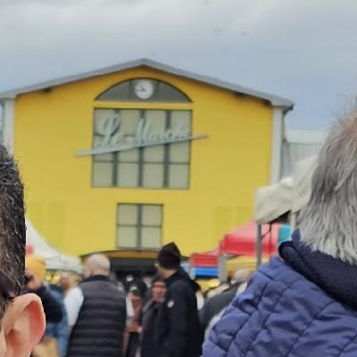 Que pensent les mulhousien-nes des élections municipales ?