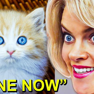 Karen STOLE MY CAT!
