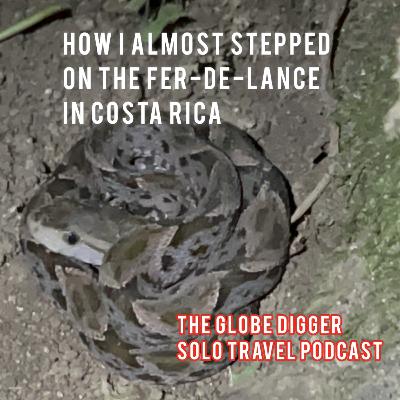My Encounter with a Fer-De-Lance Poisonous Snake in Costa Rica