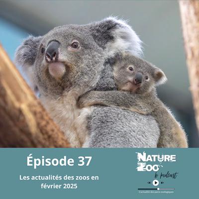 Épisode 37 (ACTU) - Les actualités en février 2025