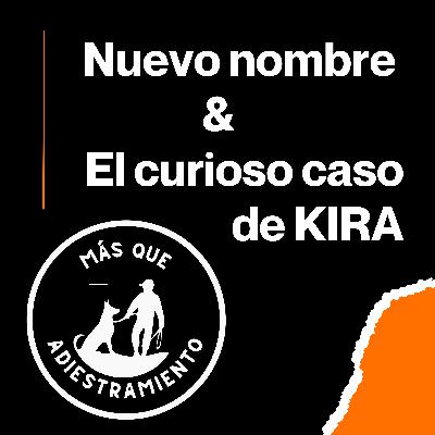 4.1 Nuevo nombre, misma misión: nace MÁS QUE ADIESTRAMIENTO + caso real de reactividad (Kira)