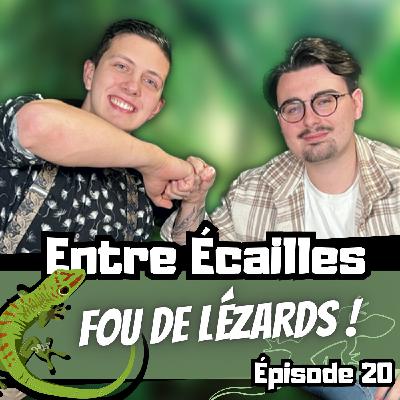 PARLONS LÉZARDS ! (Avec Martin Dagoreau) [Entre Écailles - Ep 20]