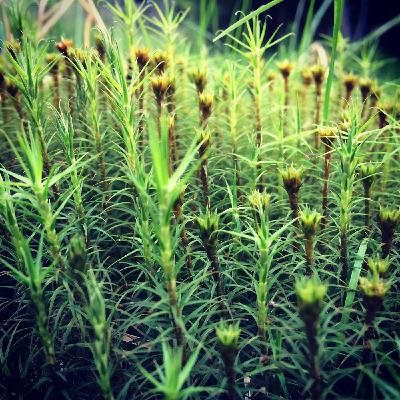 Spontán beszélgetés - Gergely Edó és Vági Zsolt