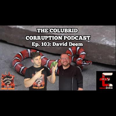 Milk Snake Mania & Fighting Zoning Laws w/ David Deem | The Colubrid Corruption Podcast | Ep. 103