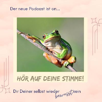 Das Froschrennen oder wie werde ich mir meiner wieder bewusst?!