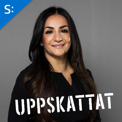 Nu ryker Nämnden för hemslöjdsfrågor