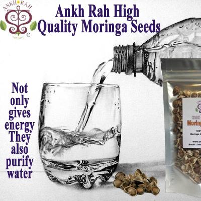 Healthy Living Podcast Series Pt.1