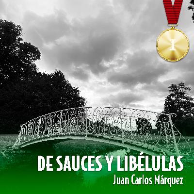 DE SAUCES Y LIBÉLULAS por Juan Carlos Márquez T2E10 (audiorelato)