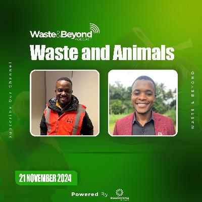 Waste and Wildlife: Uncovering the Impact of Trash on Zimbabwe’s Animals and Ecosystems