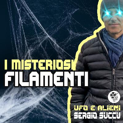 I misteriosi filamenti (o capelli d'angelo)