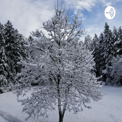 O Mistério do Natal, de Edith Stein - Parte 2: O seguimento de Deus feito homem