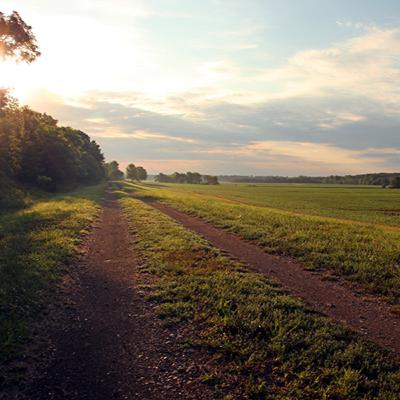 Come Follow Me Doctrine & Covenants Podcast #38: “The Order of the Son of God,” D&C 106-108