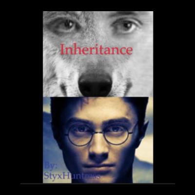 Chapters 11 to 16