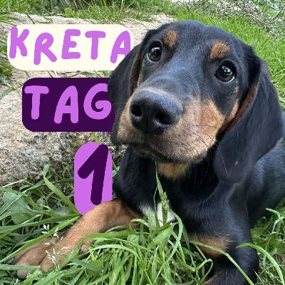 Reisetagebuch Kreta: Tag EINS Reisetagebuch Kreta: Tag EINS