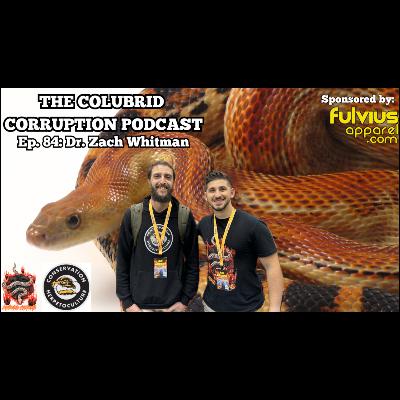 The Colubrid Hobby's Resident Veterinarian w/ Dr. Zach Whitman | Colubrid Corruption | Ep. 84 The Colubrid Hobby's Resident Veterinarian w/ Dr. Zach Whitman | Colubrid Corruption | Ep. 84