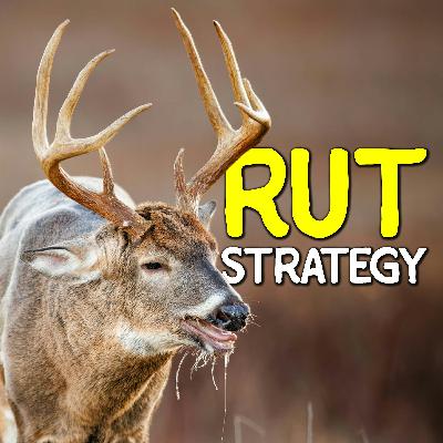 740 - Rut Hunting Tactics That Work ANYWHERE with Zach White & Kaiden Gray 740 - Rut Hunting Tactics That Work ANYWHERE with Zach White & Kaiden Gray