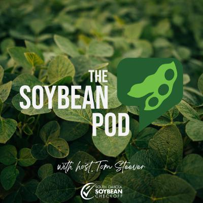 Nutrition Scientist Highlights Major Health Benefits of Soybean Oil