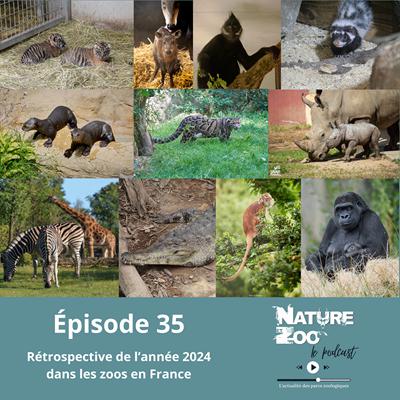 Épisode 35 (Rétrospective) - Retour sur les actualités et nos visites en 2024 avec Mathieu et Nicolas