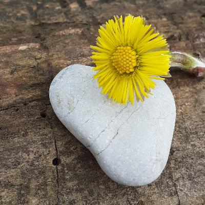 Emoțiile sunt frumusețea sufletului nostru