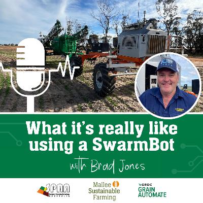 What it's really like using a SwarmBot What it's really like using a SwarmBot