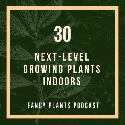30. Next-Level Growing Plants Indoors